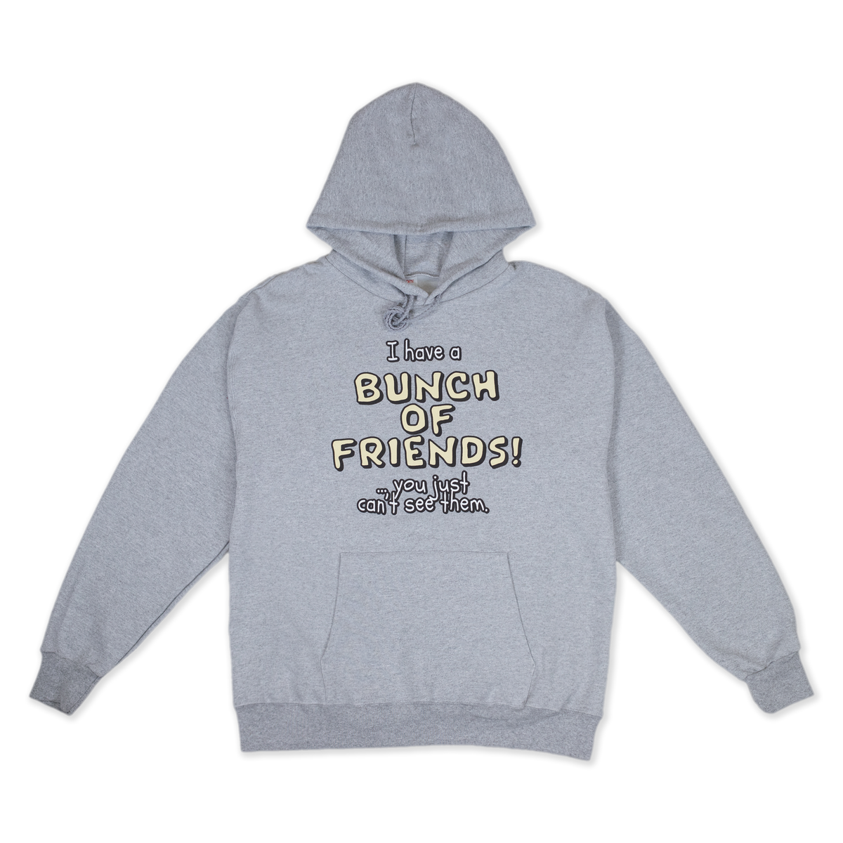 'I have a BUNCH OF FRIENDS!' Hoodie