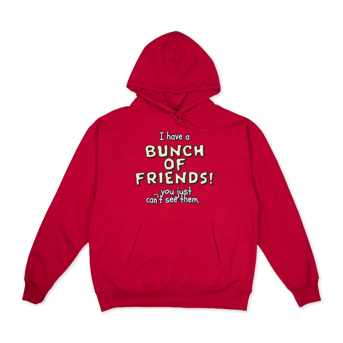 'I have a BUNCH OF FRIENDS!' Hoodie