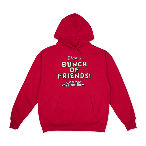'I have a BUNCH OF FRIENDS!' Hoodie