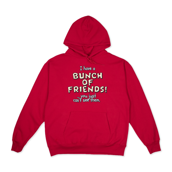 'I have a BUNCH OF FRIENDS!' Hoodie