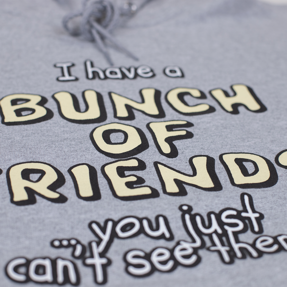 'I have a BUNCH OF FRIENDS!' Hoodie